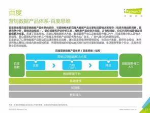 中国数据驱动型互联网企业大数据产品研究报告 软件外包服务的革新之路