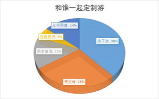 电子商务与互联网数据中心 199it软件外包服务的价值与影响