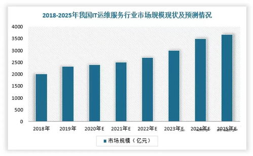 2024年中国IT服务行业研究报告 软件外包服务的演进、挑战与机遇